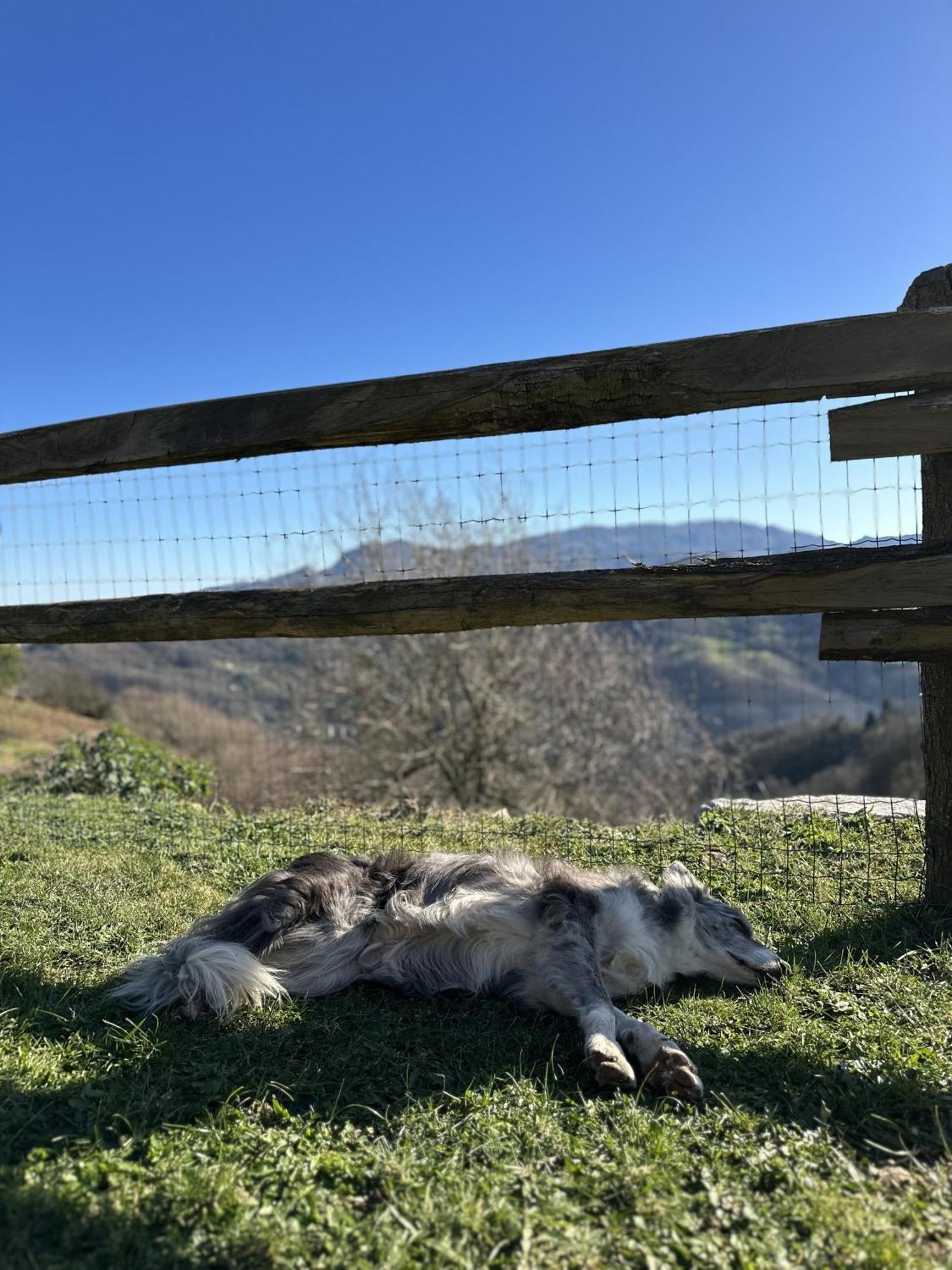 Siero Almastur Rural 빌라 외부 사진